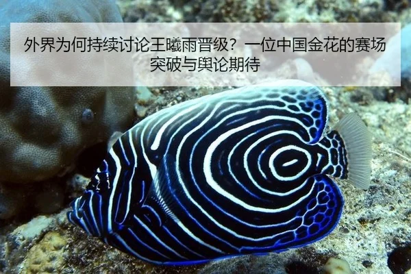 wai-jie-wei-he-chi-xu-tao-lun-wang-xi-yu-jin-ji-yi-wei-zhong-guo-jin-hua-de-sai-chang-tu-po-yu-yu-lun-qi-dai-2-960.jpg