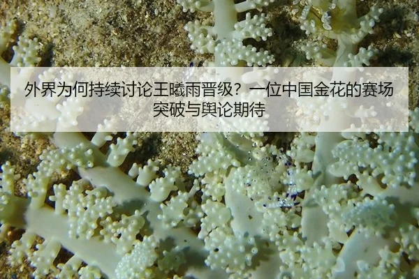 外界为何持续讨论王曦雨晋级？一位中国金花的赛场突破与舆论期待